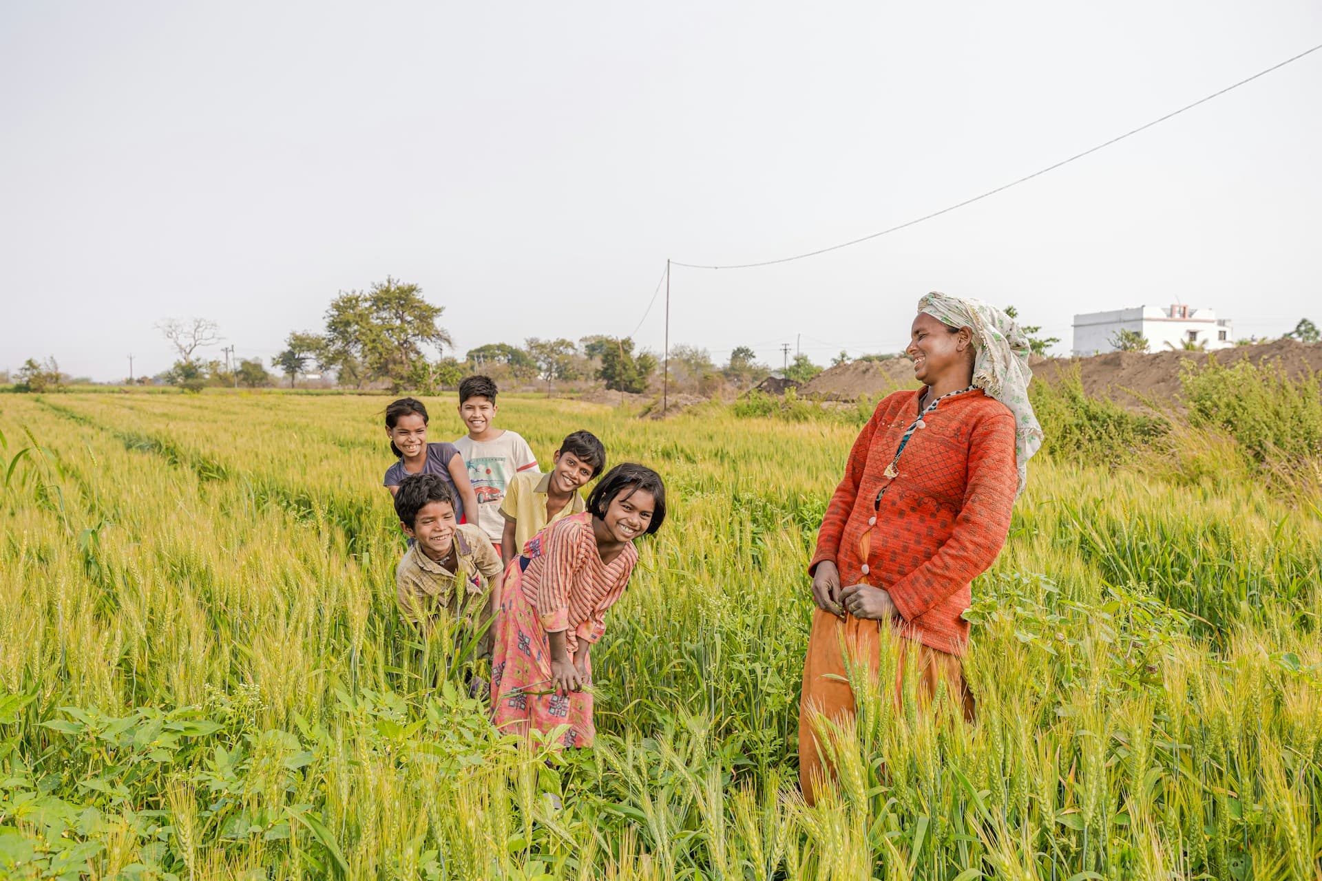 Golden wheat fields at sunset representing India's farming community
